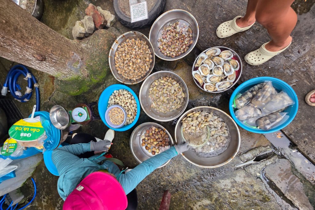 Seafood vendor selling clams and oysters at Bac My An Market in Da Nang, Vietnam.